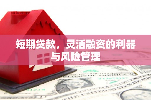 金塘短期贷款，灵活融资的利器与风险管理