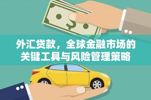 金塘外汇贷款，全球金融市场的关键工具与风险管理策略