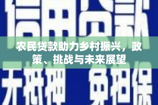 金塘农民贷款助力乡村振兴，政策、挑战与未来展望