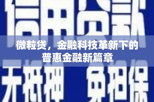 金塘微粒贷，金融科技革新下的普惠金融新篇章