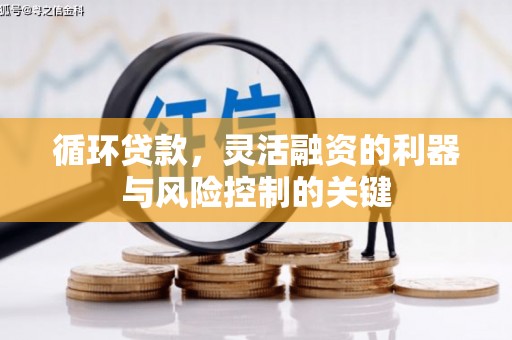 金塘循环贷款，灵活融资的利器与风险控制的关键