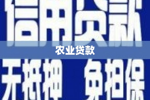 金塘农业贷款