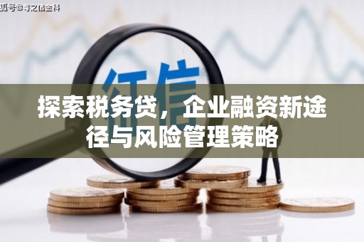 金塘探索税务贷，企业融资新途径与风险管理策略