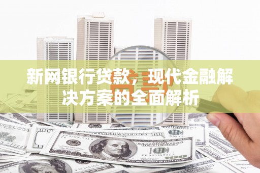 金塘新网银行贷款，现代金融解决方案的全面解析