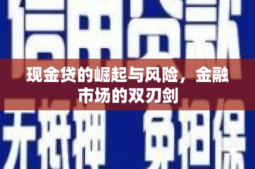 金塘现金贷的崛起与风险，金融市场的双刃剑