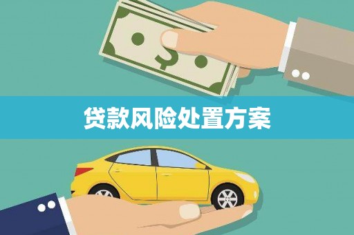 金塘贷款风险处置方案