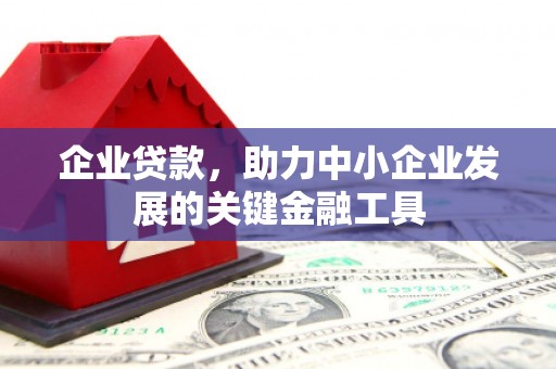 金塘企业贷款，助力中小企业发展的关键金融工具