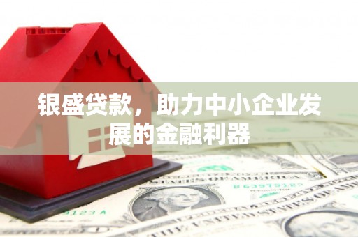 金塘银盛贷款，助力中小企业发展的金融利器