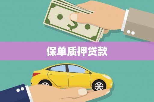 金塘保单质押贷款