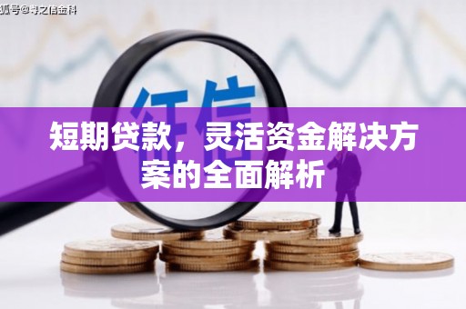 金塘短期贷款，灵活资金解决方案的全面解析