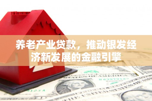 金塘养老产业贷款，推动银发经济新发展的金融引擎