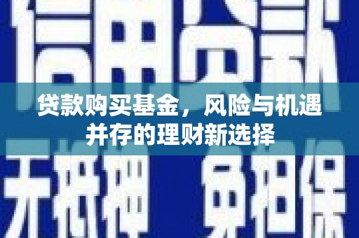 金塘贷款购买基金，风险与机遇并存的理财新选择