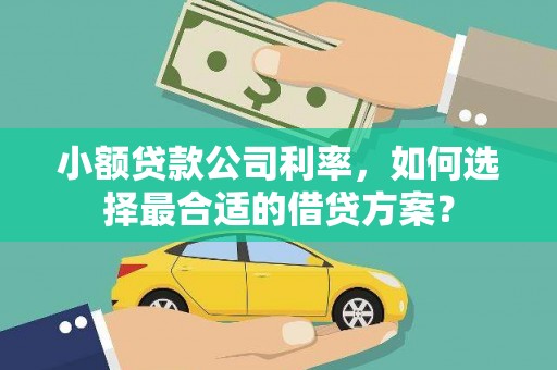 金塘小额贷款公司利率，如何选择最合适的借贷方案？