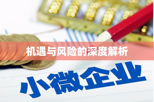 金塘机遇与风险的深度解析