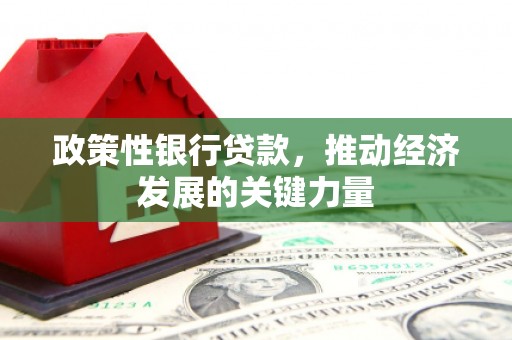 金塘政策性银行贷款，推动经济发展的关键力量