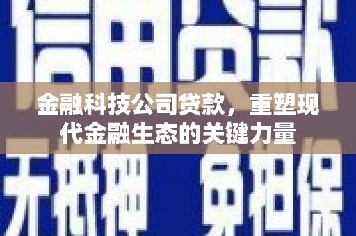 金塘金融科技公司贷款，重塑现代金融生态的关键力量