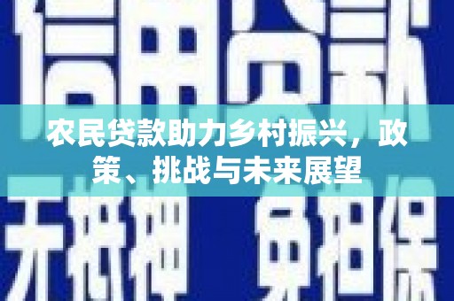 金塘农民贷款助力乡村振兴，政策、挑战与未来展望