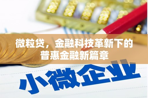 金塘微粒贷，金融科技革新下的普惠金融新篇章