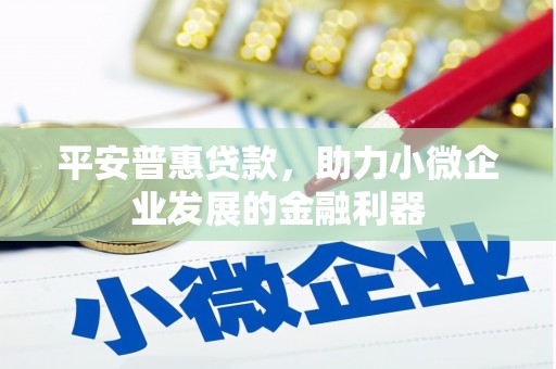 金塘平安普惠贷款，助力小微企业发展的金融利器