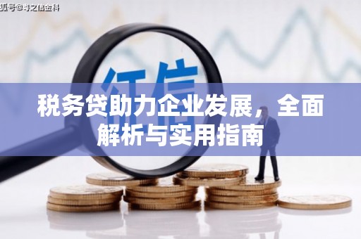 金塘税务贷助力企业发展，全面解析与实用指南