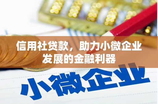 金塘信用社贷款，助力小微企业发展的金融利器