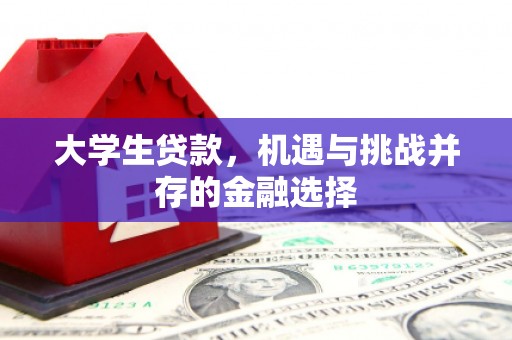 金塘大学生贷款，机遇与挑战并存的金融选择