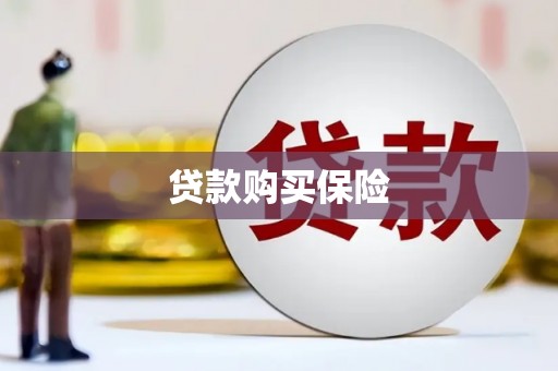 金塘贷款购买保险