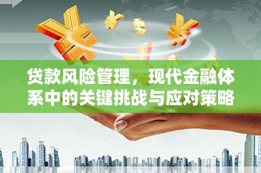 金塘贷款风险管理，现代金融体系中的关键挑战与应对策略