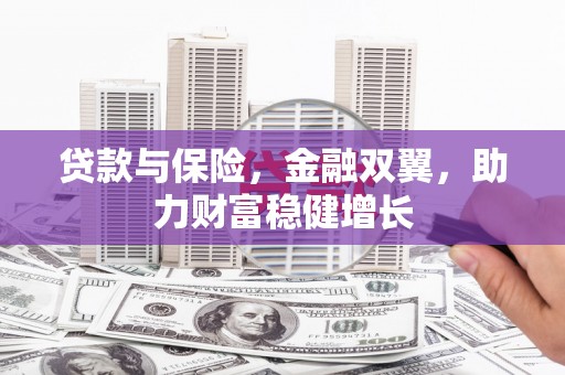 金塘贷款与保险，金融双翼，助力财富稳健增长