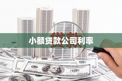金塘小额贷款公司利率